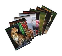 Blasetti - Animal - Maxi cuaderno formato A4 (21 cm x 29,7 cm) - Rayado BCO (blanco) - Papel 80 gr - Paquete de 10 unidades