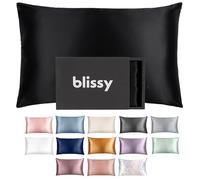 Blissy Funda de Almohada de Seda, 100% Seda de Morera Pura, Fibras 22 Momme 6A, Funda de Almohada de satén para Cabello y Piel, tamaño Regular, Queen y King con Cremallera Oculta