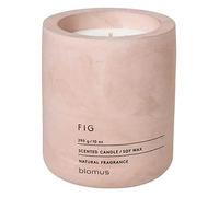 blomus -FRAGA- Vela perfumada L de cera de soja, Rose Dust, aroma de alta calidad, diseño característico de hormigón, fragancia FIG, duración de 55 horas, especialmente baja en hollín (H / A / P: 11 x 9 x 9 cm, Rose Dust, 65655)
