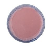 Bloomingville Plato Paula Ø20 cm Rose
