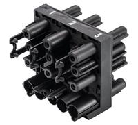 BLOQUE DE CONEXIONES BACHMANN Wieland, modelo GST18i5, con entrada GST18i5 y 6 salidas GST18i3