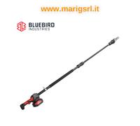 Blue bird 22 10 telescópico 2 baterías 18V bomba de aceite automática