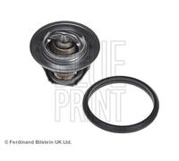 Blue Print Termostato, refrigerante para FORD: Fiesta, Focus, Fusion, Courier & MAZDA: 121, 2 (Ref: ADM59215)