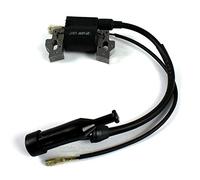 Bobina de encendido compatible con generador de energía Einhell BT-BG 2000/2, STE2500 / Rotenbach 3KW 6.5HP -921