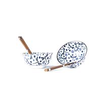 Bol para comer BLUE DRAGONFLY, juego de 2 piezas, 500 ml, con palillos, MIJ