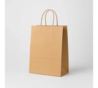 Bolsa papel kraft liso asa rígida 30+19x32