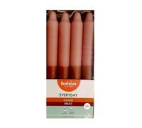 Bolsius Conica 180/21.3 Everyday Pack 8 Jengibre