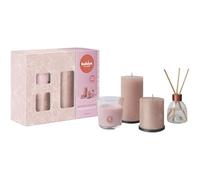Bolsius - Velas rústicas con difusor de varillas y vela perfumada - Juego de 4 unidades - Whispers of Bloom - Magnolia - Largo tiempo de combustión - Sin aceite de palme