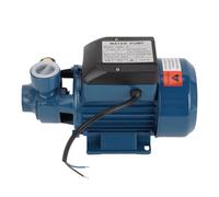 Bomba centrífuga PolyGen 650W 40L/min, elevación máxima de 35m, AC220V, bomba eléctrica de transferencia de agua con salida de 1 pulgada para uso agrícola y aplicaciones de