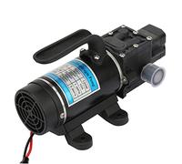 Bomba de agua eléctrica de 120 W 10 L/m - Bomba de diafragma autocebante con dispositivo contra sobrecorriente - para lavadora de alta presión (12 V/24 V) (12 V 3210YD-12-120FS)