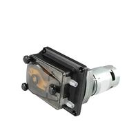 Bomba de diafragma, Bomba De Sumidero, Transferencia Líquido Motor Peristáltica Dosificación 24 V CC Para Industrial Landuary(304K/ZL-24V-166R-24)
