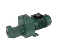 Bomba de riego DAB Jet 151 T medium Verde / Negro / Acero inoxidable