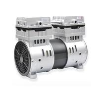 Bomba de vacío de pistón sin aceite DL-40V DL-140V DL-200V(DL-200V)