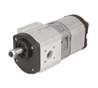 Bomba hidráulica de engranajes BOSCH 0 510 665 389
