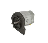 Bomba hidráulica de engranajes BOSCH 0 510 725 392