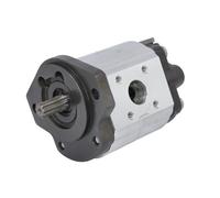 Bomba hidráulica de engranajes BOSCH 0 517 725 308
