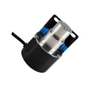 Bomba magnética miniatura de la bomba de engranajes 0.30cc con el motor sin cepillo 40W