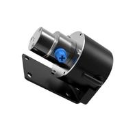 Bomba magnética miniatura de la bomba de engranajes 0.60cc con el motor sin cepillo 70W