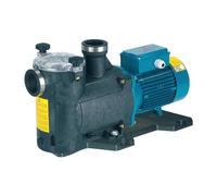 Bomba para piscina MPC31m/A 0,75kW 1Hp Monofasico 230V 50Hz Calpeda MPCM