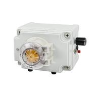 Bomba peristáltica 104KA-300R24V(15~279ml/min)