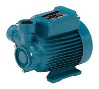 Bomba rodete periferico CT61m 0,33kW 0,45Hp Monofasico 230V 50Hz Calpeda CTM