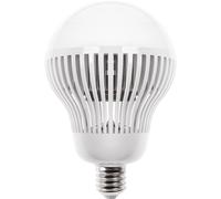 Bombilla e40 globo skyline led d165 100w 6400k 10000lm