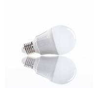 Bombilla LED Lindby, juego de 10, E27, 8,5 W, mate, 3.000 K EC:EPREL:753195