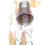 lamparita filamento para hornos a rosca e14 230 v 15w 300 ºc electro