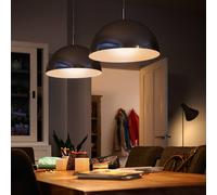Bombilla reflectora LED Philips E27 PAR38 13 W 827 atenuable EC:EPREL:1121745