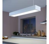 Bombilla tubular LED Philips G13 T8 13,5 W 121,3 cm 6500 K EC:EPREL:1205537
