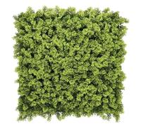 BONERVA Jardín Vertical Artificial Musgo 100x100 cm, 1m², Pack 4 Paneles 50x50 cm, Muro Vegetal Verde Decorativo Interior Exterior