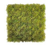 BONERVA Jardín Vertical Artificial Musgo Plus 100x100 cm, 1 m², Pack 4 Paneles 50x50 cm, Muro Vegetal Decorativo de Musgo para Interiores contemporáneos oficinas hoteles y comercios sin Mantenimiento