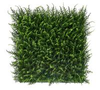 Bonerva Jardín Vertical Halepensis Pack 4 Piezas 50x50cm 50 x 50