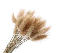 Bontannd 20pcs Secas Naturales Cola De Conejo Flor Hierba Ramos Racimos La Decoración del Hogar De 16 Pulgadas