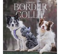 Border Collie Calendar 2027: Bright Eyes and Herding Hearts