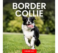 Border Collie Calendar 2027: Dog Portraits and Outdoor Scenes