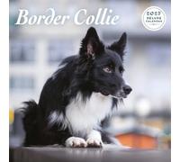 Border Collie - Calendario de lujo 2027