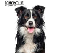 Border Collie - Calendario moderno 2027