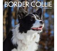 Border Collie Dog Calendar 2027: Herding Dogs and Active Days