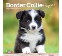 Border Collie Puppies 2027 7 X 14 Inch (Hanging) Monthly Mini Wall Calendar