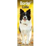 Border Collie Slim