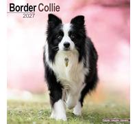 Border Collie Wall