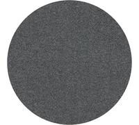 Bosch 10x Hoja de lija PRO F355 para amoladoras | para Hormigón, Piedra dura, Grano 60, Professional Accesorios Amoladora pequeña