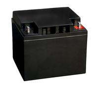 BOSCH IPS-BAT12V-45AH Batería de Emergencia 12V 40000 mAh