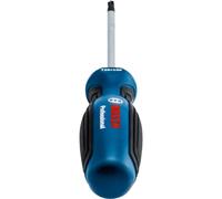 Bosch Professional destornillador Torx TX25 x 100mm
