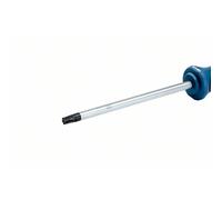 Bosch Professional destornillador Torx TX40 x 125mm