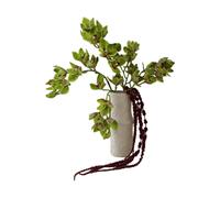 Botané Ramo artificial Velvet Vine Orquídea-amaranto. 6 ud.