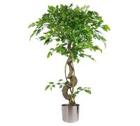 Botanik Maceta de 120 cm con Forma de árbol ficus Artificial japonés, Estilo fruticosa, Color Plateado