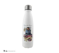 Botella Metálica Harry Potter Journey to Hogwarts 500ml