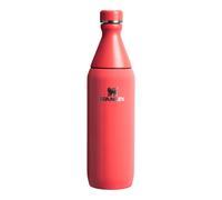 Botella Stanley The All Day 0,6 L